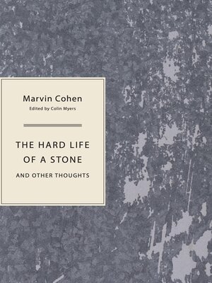 cover image of The Hard Life of a Stone